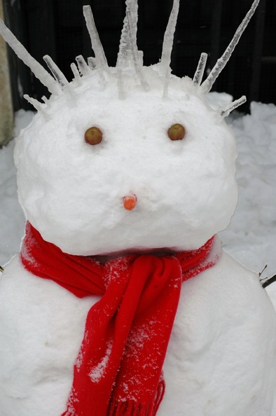 punk-rock-snowman-by-robertfrancis-thumb-395x594