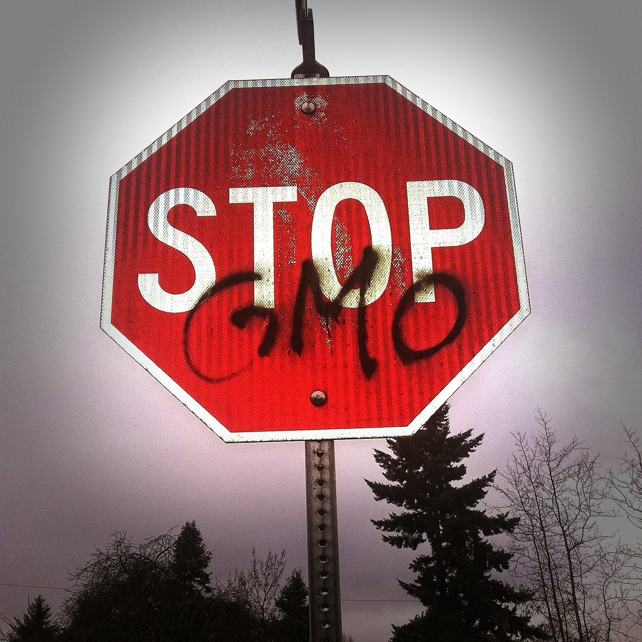 no-GMO