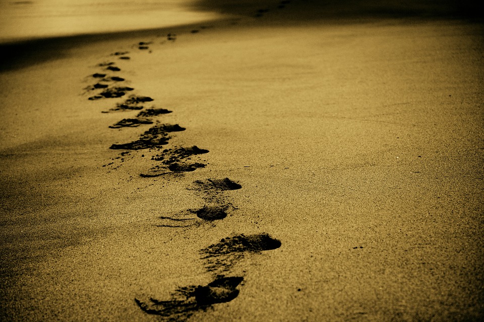 Source: Pixabay