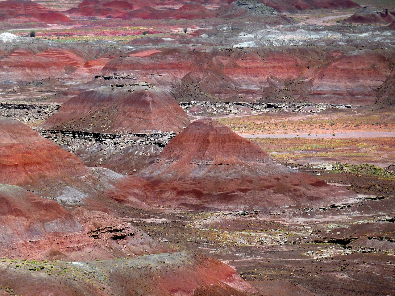 Petrified Forest National Park