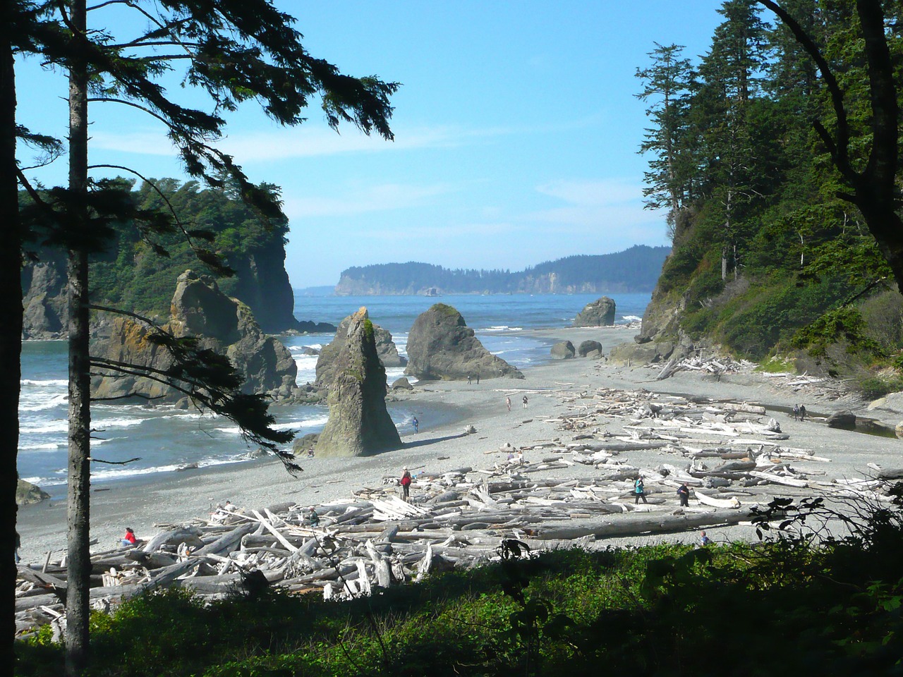 Olympic National Park