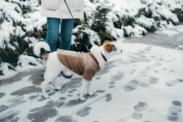 Ways To Get Active Outdoors During Winter