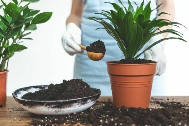 Unique Ways To Bring Spring into Your Home