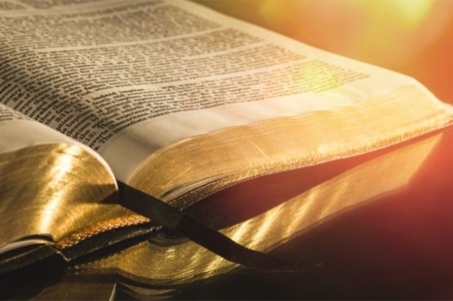What Do the Bible and Torah Have in Common?