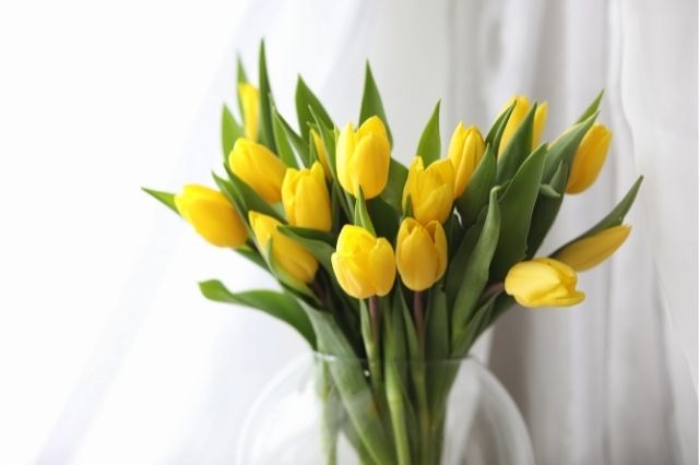 Essential Types of Flowers To Keep in Your Home
