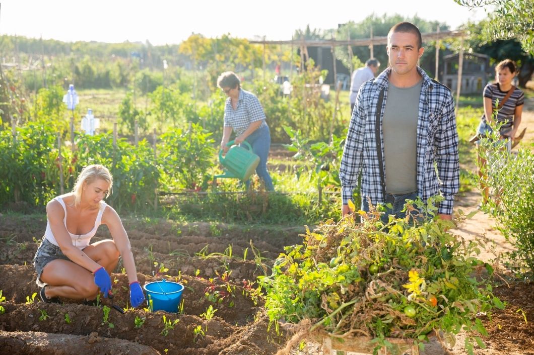 Top 5 Unique Ways To Start Your Own Homestead