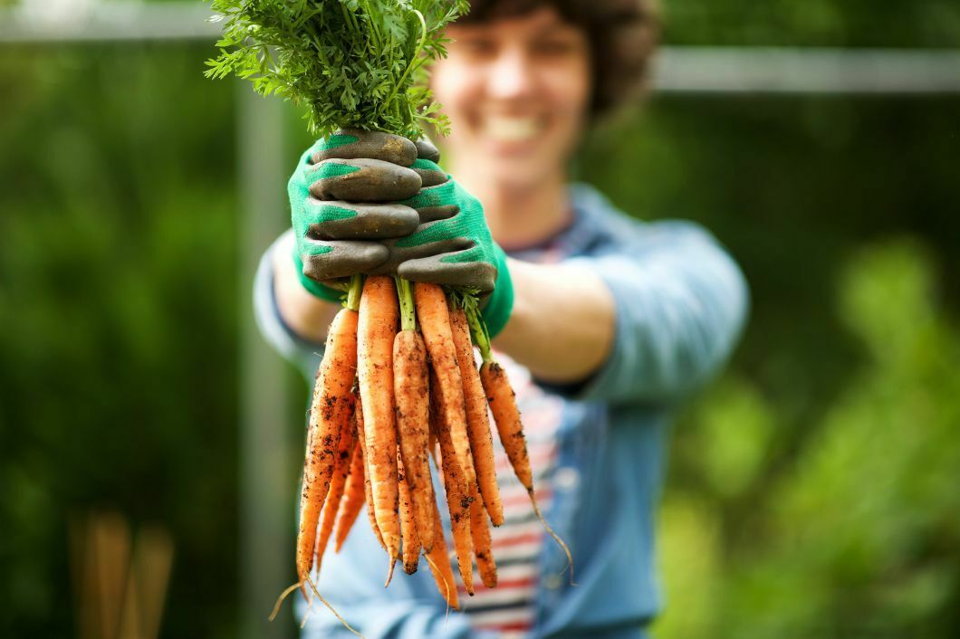 The Benefits of Having a Garden and Growing Your Own Food