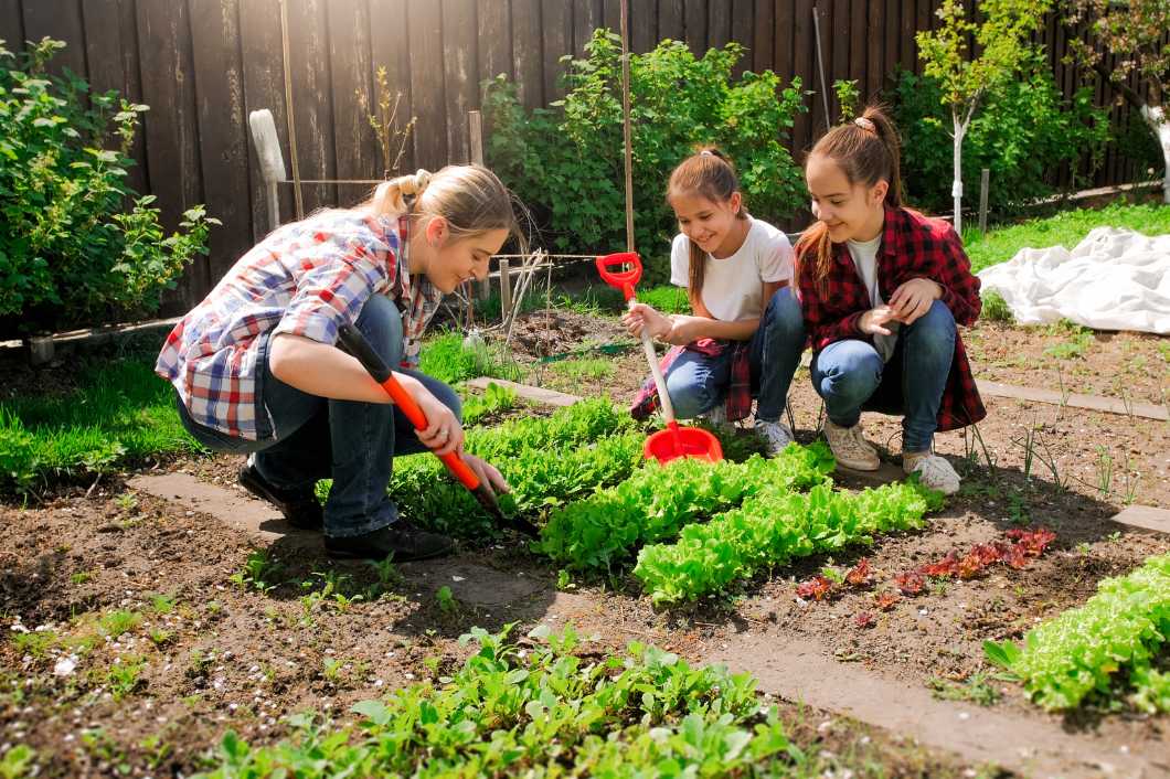 Developing a Green Thumb: Tips for Beginner Gardeners