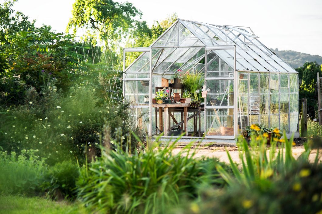 Types of Greenhouse Structures To Build in Your Backyard