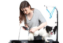 Why Full Grooming for Dogs in Fort Worth, TX Is Essential for Optimal Pet Health