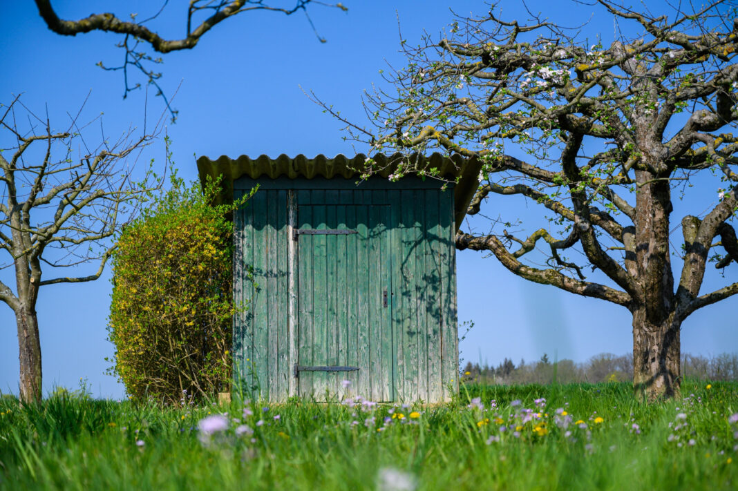 garden shed clearance