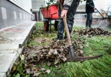 Step-by-Step Garden and Shed Clearance Process Explained house and garden clearance