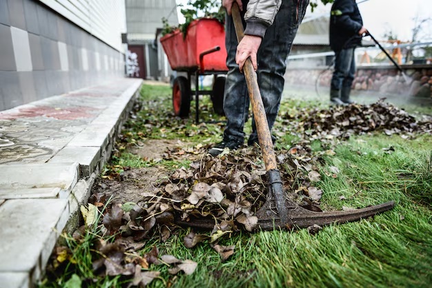house and garden clearance