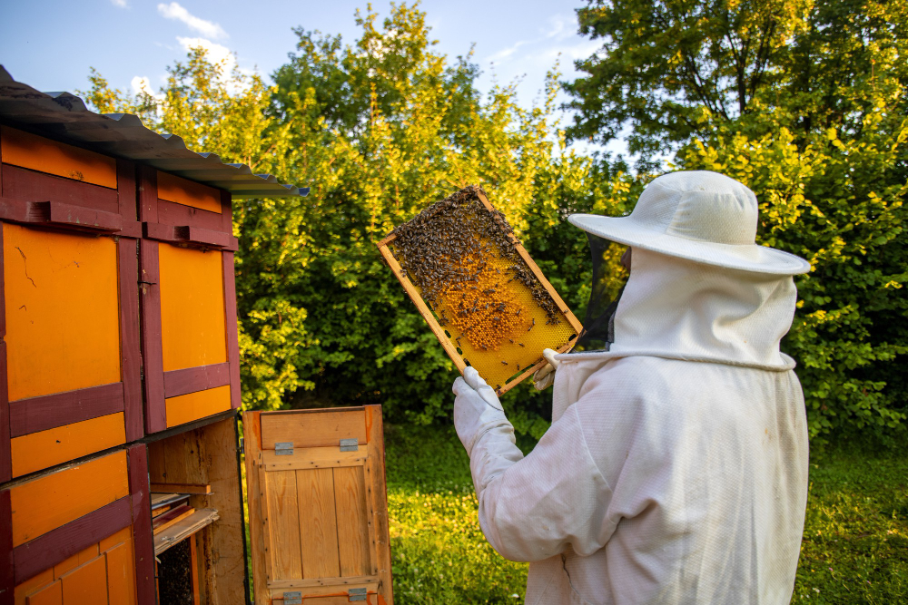 40252 Bee Prevention
