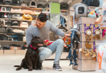 A Complete Guide to Shopping at a Pet Store in Qatar