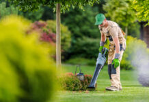 Top Signs Your Property Needs Garden Maintenance Services in Melbourne