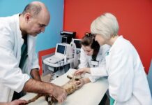How Routine Veterinary Lab Testing in Doha Prevents Serious Illnesses? Veterinary Lab Testing in Doha