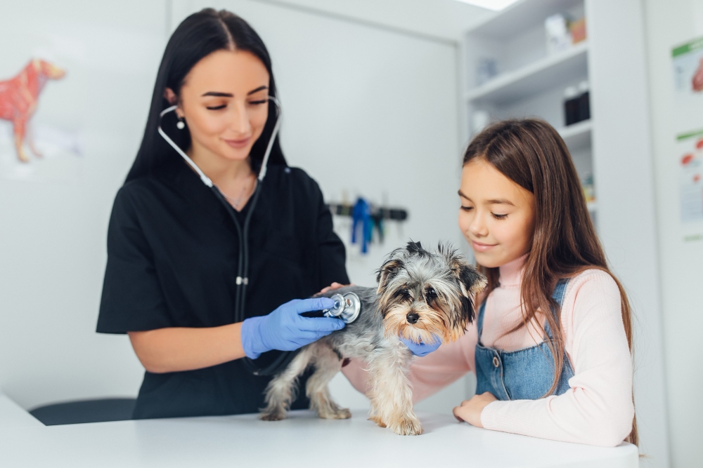 Pets Care Clinic in Qatar