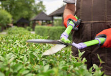 Factors Impacting the Cost of Garden Maintenance Services in Melbourne garden maintenance services