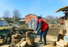 How to Prepare for a Garden and Shed Clearance Service Garden and Shed Clearance