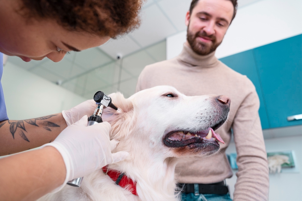 2149304329 Pet Microchipping