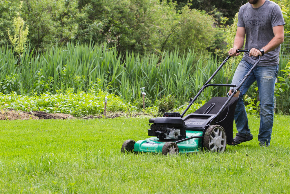 lawn mowing services