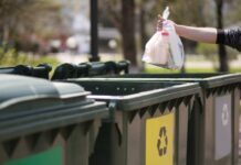 Why Professional Waste Removal Services Are Worth It Waste Removal Service