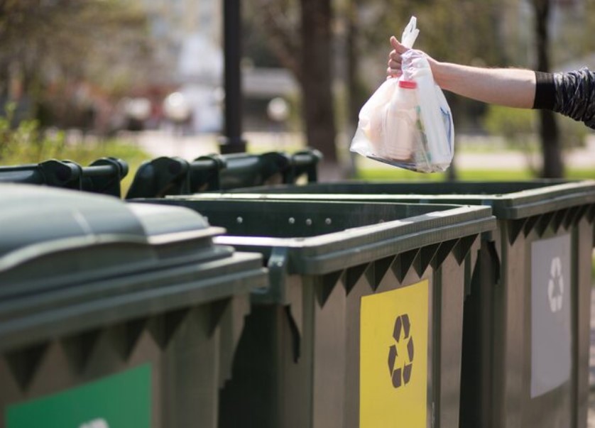 Waste Removal Service