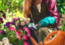 Professional vs DIY Flower Cleaning in Dublin: What Works Best? flower cleaning services