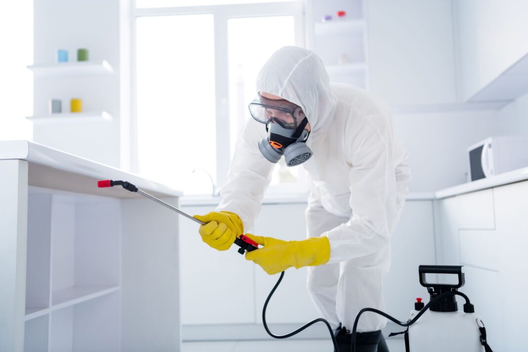Reliable Pest Control Services Malaysia Reliable Pest Control Services Malaysia