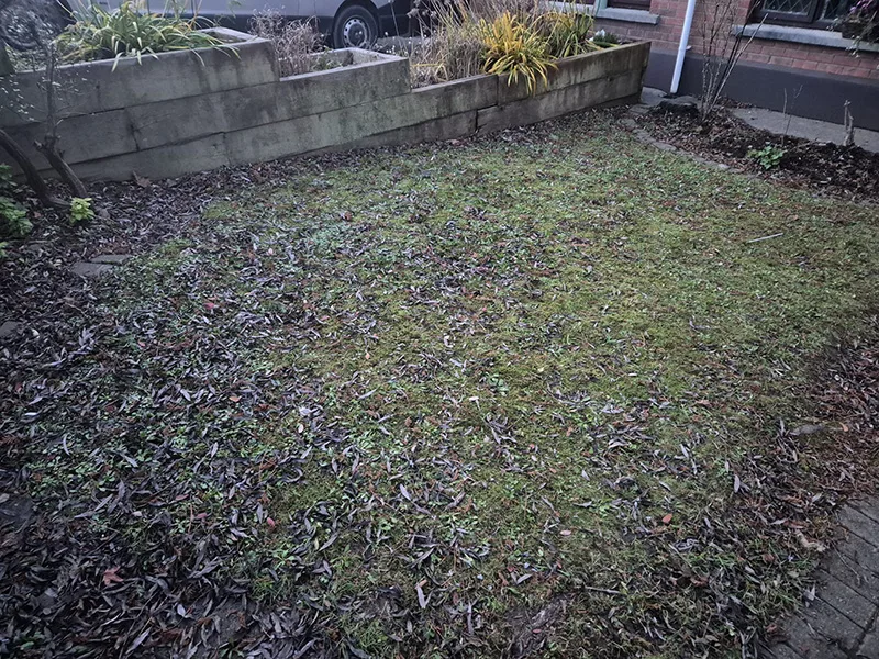 garden-clearance.jpg garden clearance